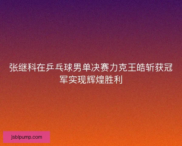 张继科在乒乓球男单决赛力克王皓斩获冠军实现辉煌胜利