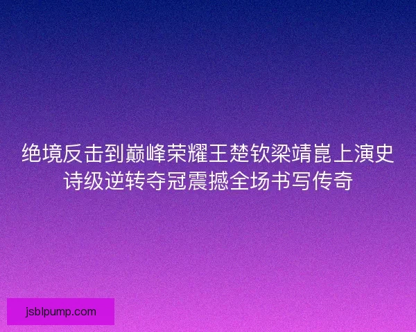 绝境反击到巅峰荣耀王楚钦梁靖崑上演史诗级逆转夺冠震撼全场书写传奇